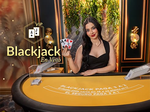 VIP Blackjack en Español 13 game icon